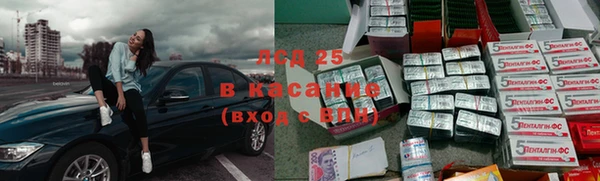 шишки Арсеньев