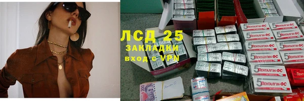 шишки Арсеньев