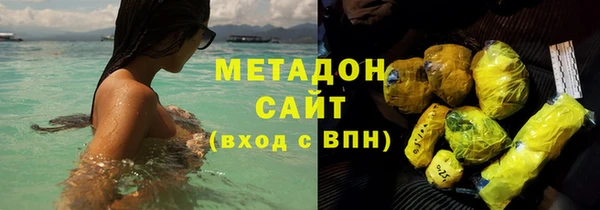 шишки Арсеньев