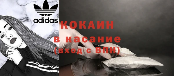 шишки Арсеньев