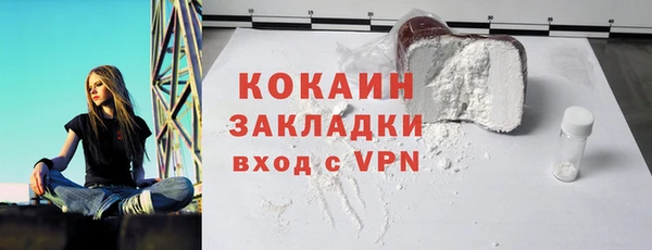 шишки Арсеньев