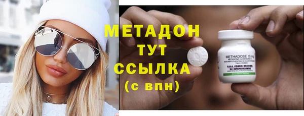шишки Арсеньев