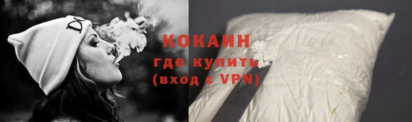 шишки Арсеньев