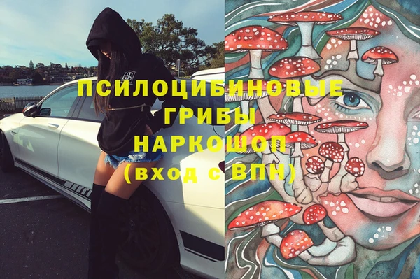 шишки Арсеньев