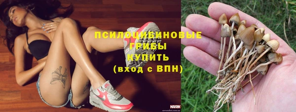 индика Армянск