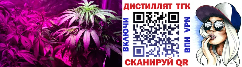 Дистиллят ТГК вейп  Купить где  Козловка 