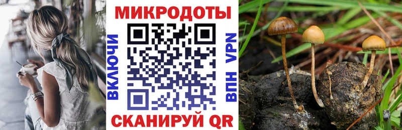 Купить закладки Козловка Псилоцибиновые грибы Psilocybe